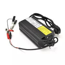Зарядний пристрій Merlion для акумуляторів LiFePO4 48V(58,4V),16S,5A-240W