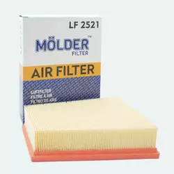 Воздушный фильтр MOLDER аналог WA9569/LX2631/C25101 (LF2521)