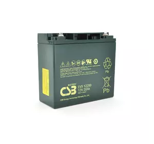 Акумуляторна батарея CSB EVX12200, 12V 20Ah (181х77х162мм), Q4
