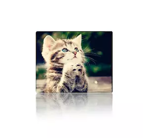 Килимок 250*300 тканинний CAT3, з боковою прошивкою, товщина 2 мм Килимок 250*300 тканинний CAT3, з боковою прошивкою, товщина 2 мм