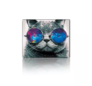 Килимок 250*300 тканинний Cat with Glasses, з боковою прошивкою, товщина 2 мм Килимок 250*300 тканинний Cat with Glasses, з боковою прошивкою, товщина 2 мм