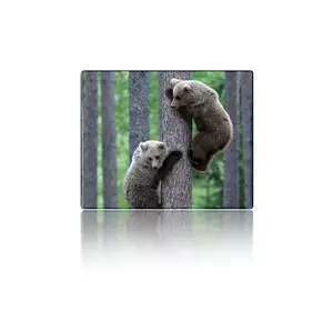 Килимок 250*300 тканинний Two Bears, з боковою прошивкою, товщина 2 мм Килимок 250*300 тканинний Two Bears, з боковою прошивкою, товщина 2 мм