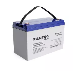 Акумуляторна батарея PANTEC  100-12 GEL 12V 100 Ah (330 x 173 x 218), 30.4 kg Grey Q1/48 Акумуляторна батарея PANTEC  100-12 GEL 12V 100 Ah (330 x 173 x 218), 30.4 kg Grey Q1/48