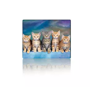 Килимок 250*300 тканинний Five Cats, з боковою прошивкою, товщина 2 мм Килимок 250*300 тканинний Five Cats, з боковою прошивкою, товщина 2 мм