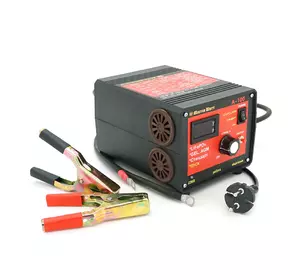 Пуско-зарядне ЗУ для LiFePO4 акумуляторів PZU А-100 12V (20-1000Ah) (MF, AGM, GEL, CA/CA, LiFePO4) 100А, 160-245V Пуско-зарядне ЗУ для LiFePO4 акумуляторів PZU А-100 12V (20-1000Ah) (MF, AGM, GEL, CA/CA, LiFePO4) 100А, 160-245V