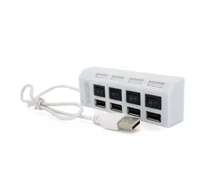 Хаб USB 2.0 4 порти з перемикачами на кожен порт, White, 480Mbts High Speed, підтримка до 0,5ТВ, живлення від USB, Blister Q100