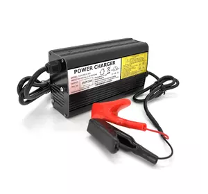 Зарядний пристрій для акумуляторів Merlion LiFePO4 24V(29,2V)-10A-240W, Q20