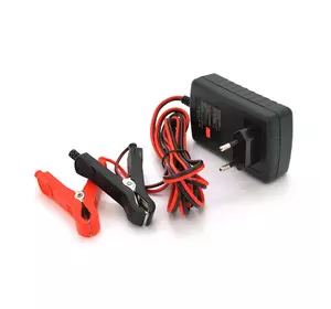 Автоматичне ЗУ для акумулятора RJTianye  6V/12V,100-240V,2A,клеми(AGM/GEL,Lead) Автоматичне ЗУ для акумулятора RJTianye  6V/12V,100-240V,2A,клеми(AGM/GEL,Lead)
